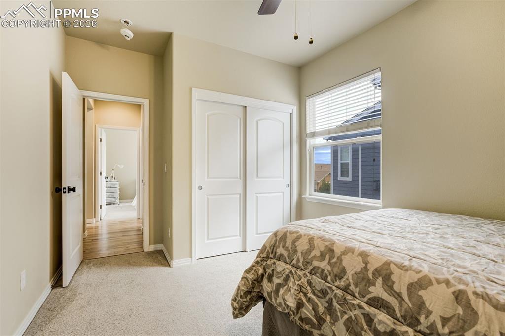 5849 Brave Eagle Drive Colorado Springs CO 80924