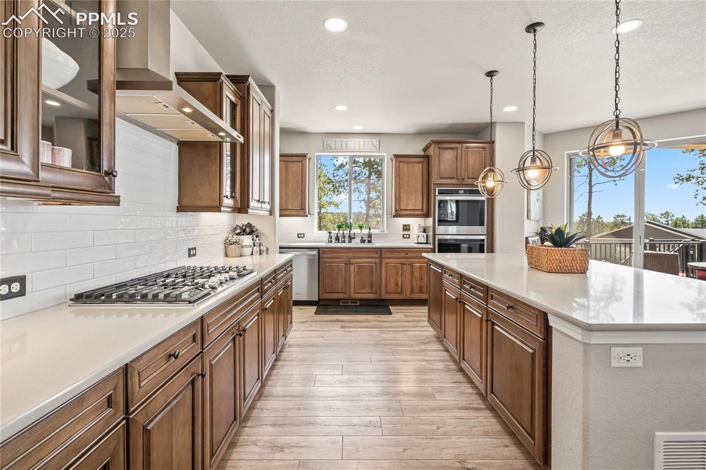 16231 Thunder Cat Way Monument CO 80132
