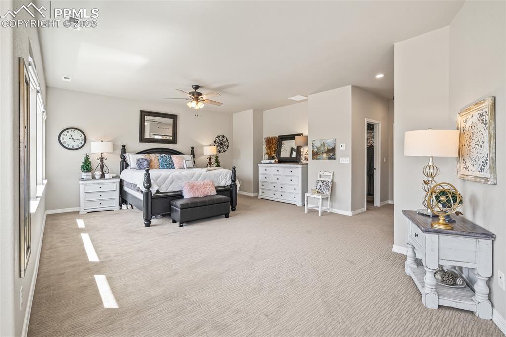 16231 Thunder Cat Way Monument CO 80132