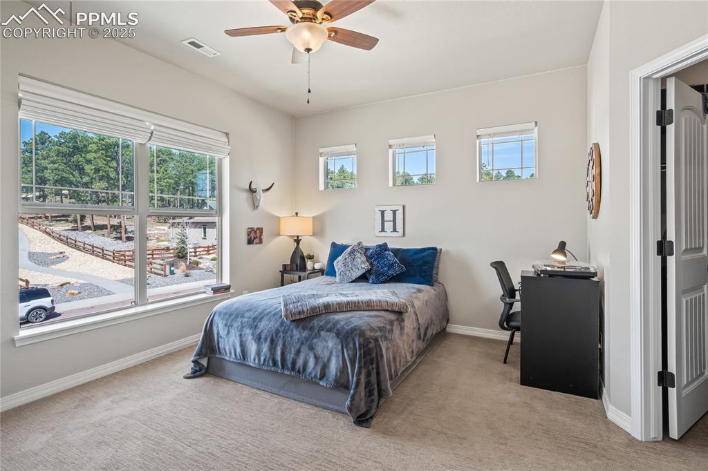 16231 Thunder Cat Way Monument CO 80132