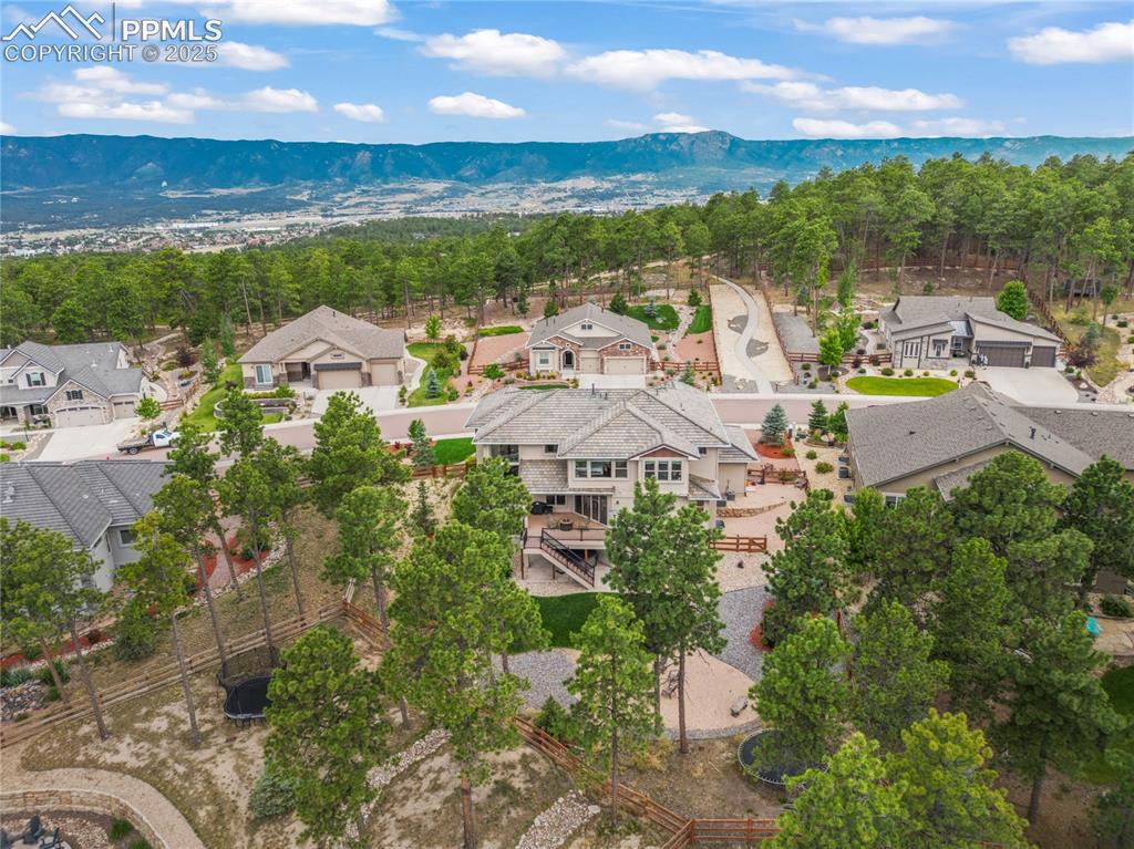 16231 Thunder Cat Way Monument CO 80132