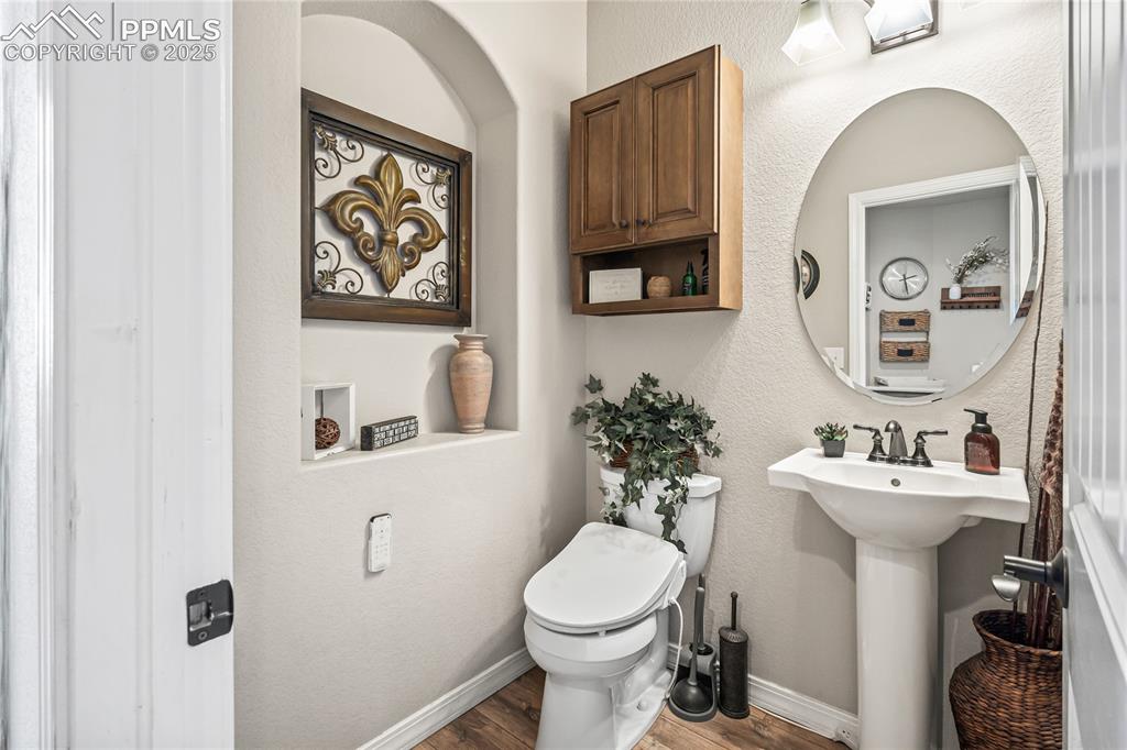16231 Thunder Cat Way Monument CO 80132