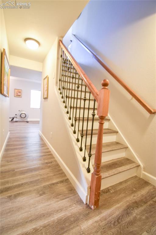 3623 Spitfire Drive Colorado Springs CO 80911