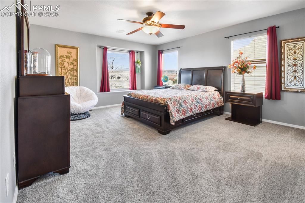 3623 Spitfire Drive Colorado Springs CO 80911