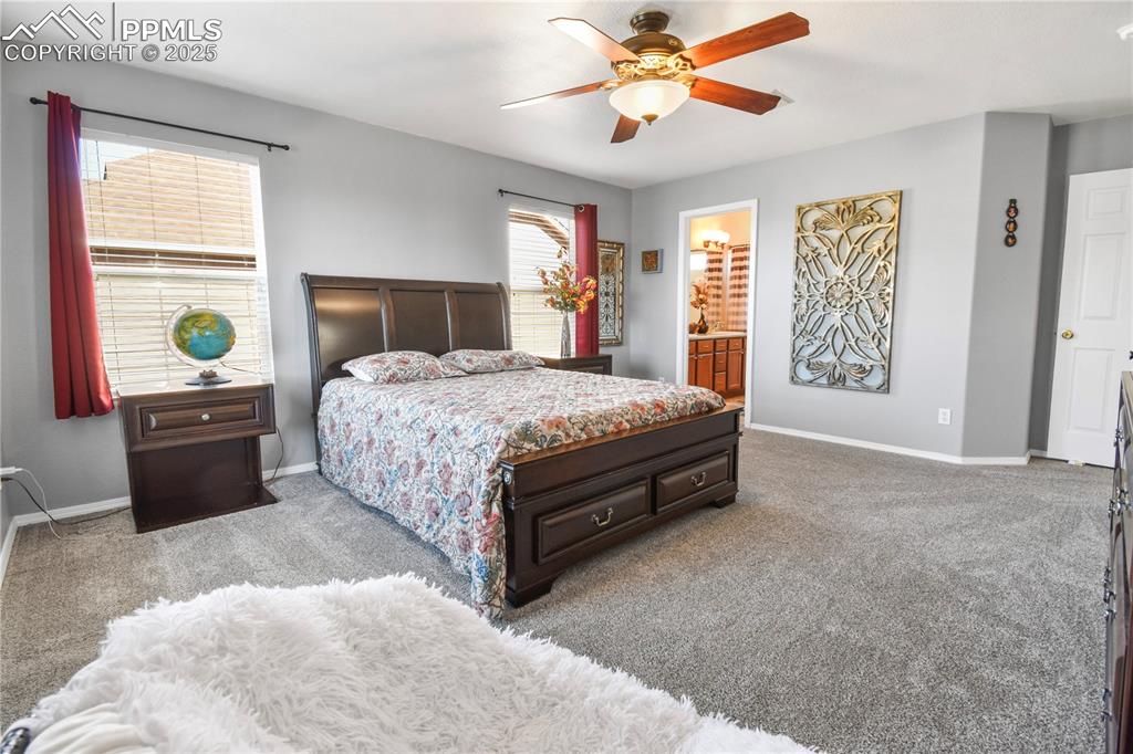 3623 Spitfire Drive Colorado Springs CO 80911