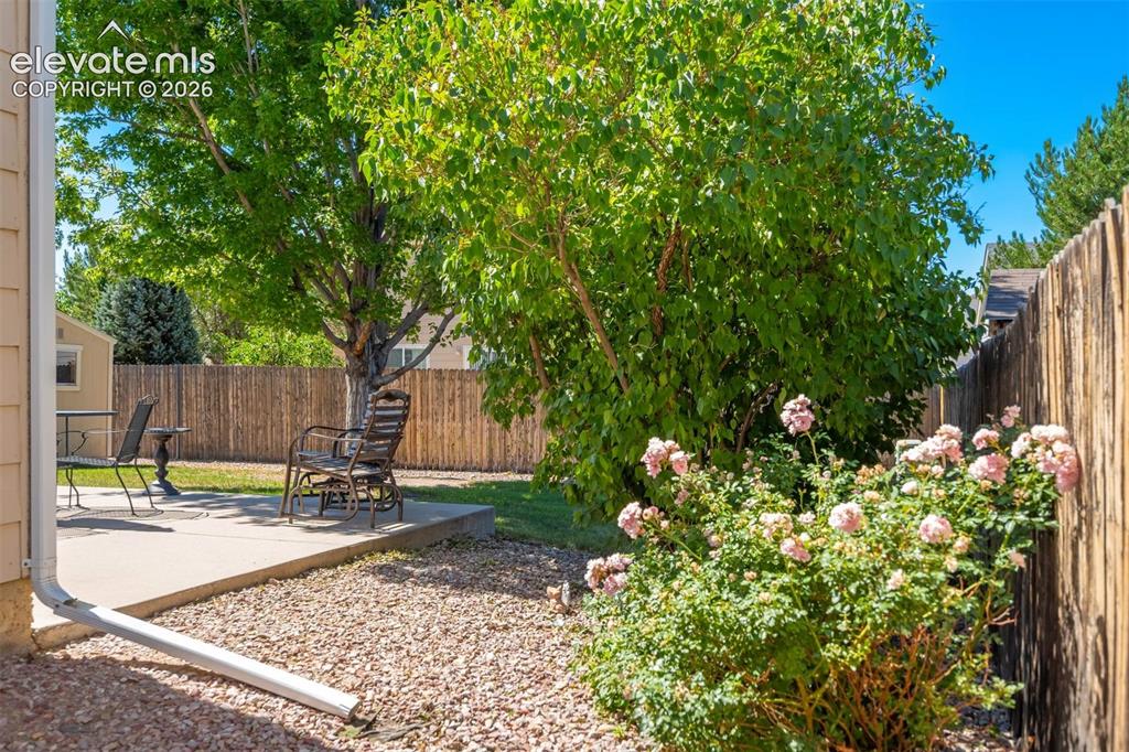 675 Prairie Star Circle Colorado Springs CO 80916