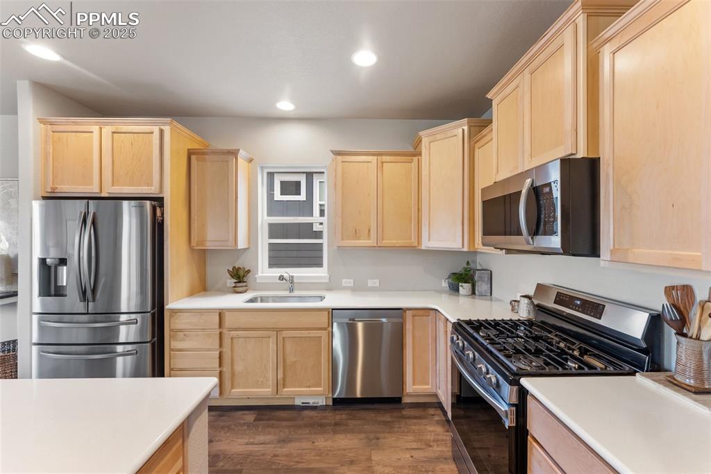 1048 Seabiscuit Drive Colorado Springs CO 80921