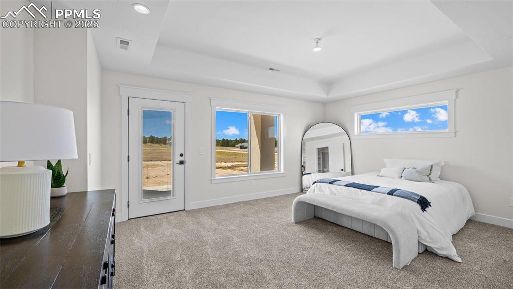 11619 Rambling Road Colorado Springs CO 80908