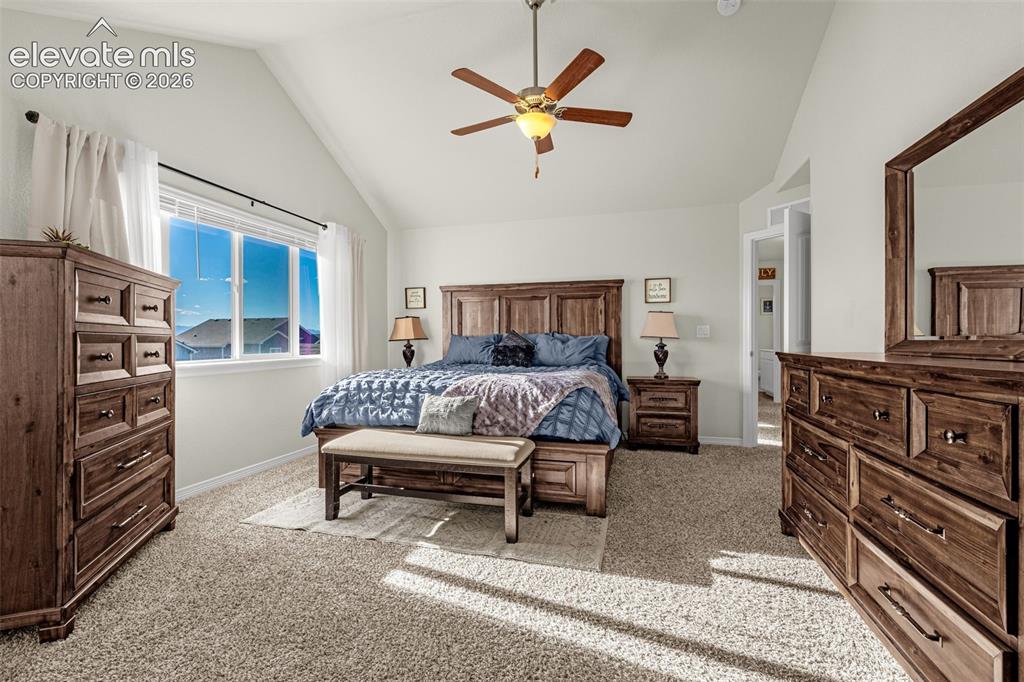 6739 Abita Drive Colorado Springs CO 80925