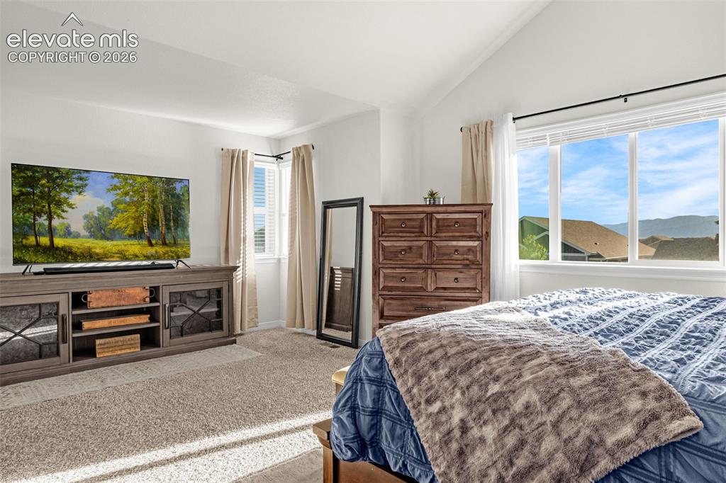 6739 Abita Drive Colorado Springs CO 80925