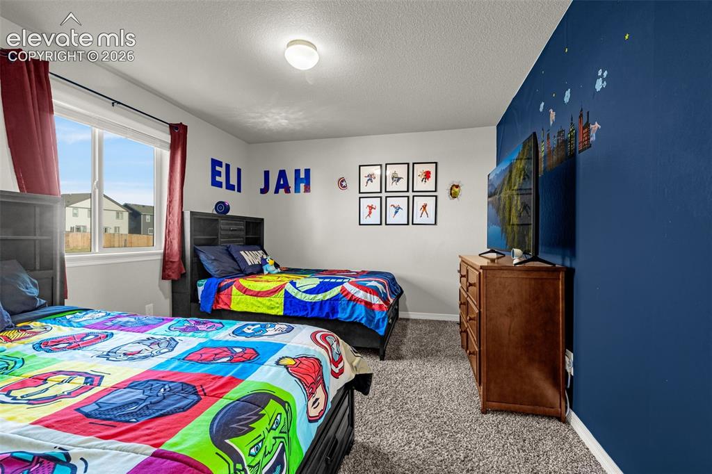 6739 Abita Drive Colorado Springs CO 80925