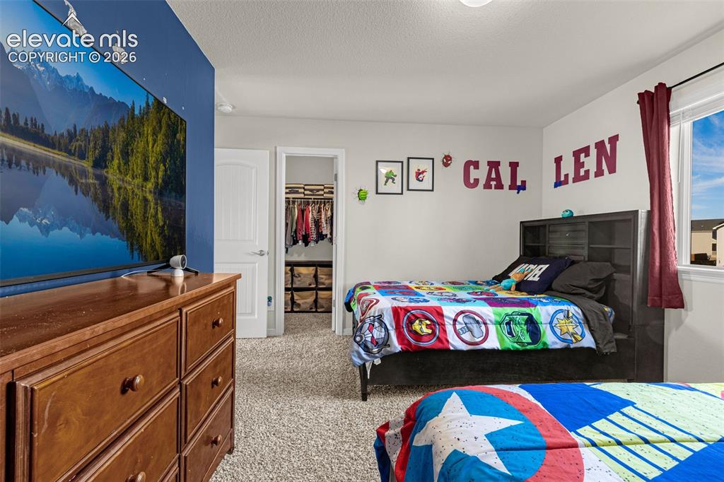 6739 Abita Drive Colorado Springs CO 80925