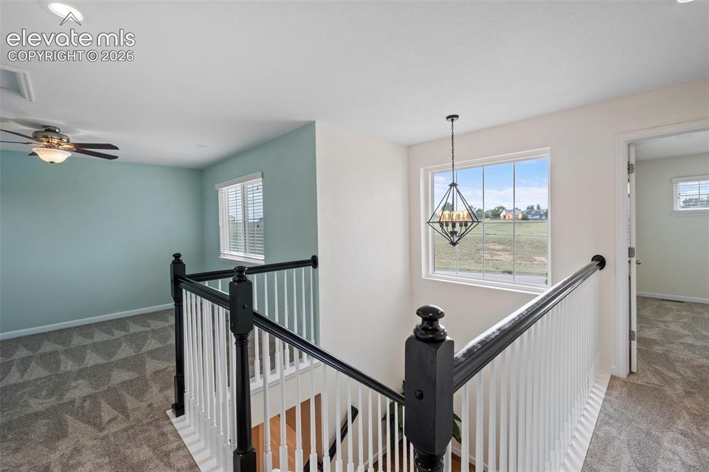 7422 Kettle Drum Street Colorado Springs CO 80922