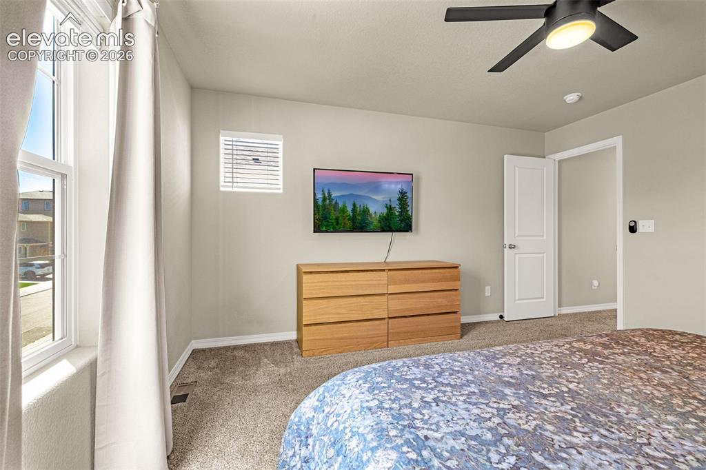 4168 Samaritan Loop Colorado Springs CO 80916