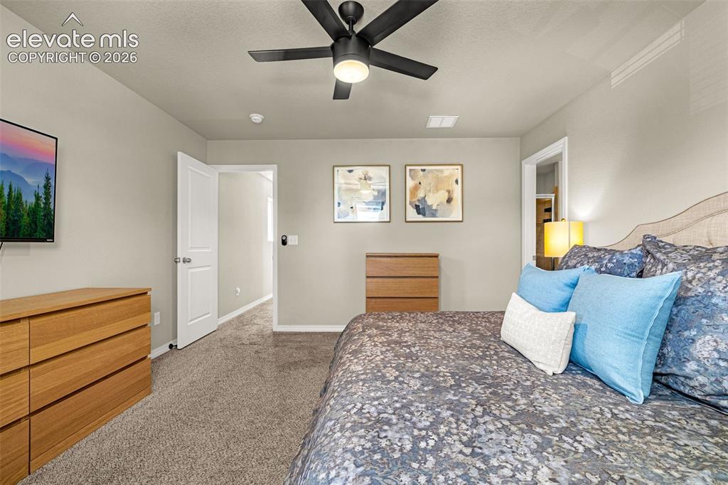 4168 Samaritan Loop Colorado Springs CO 80916