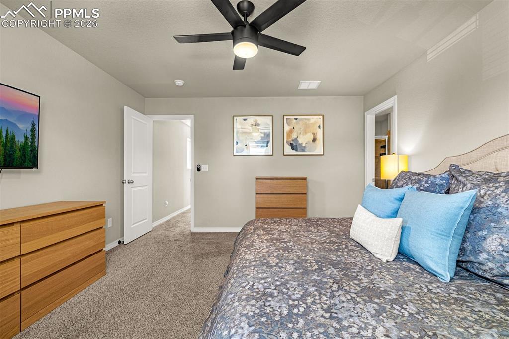 4168 Samaritan Loop Colorado Springs CO 80916