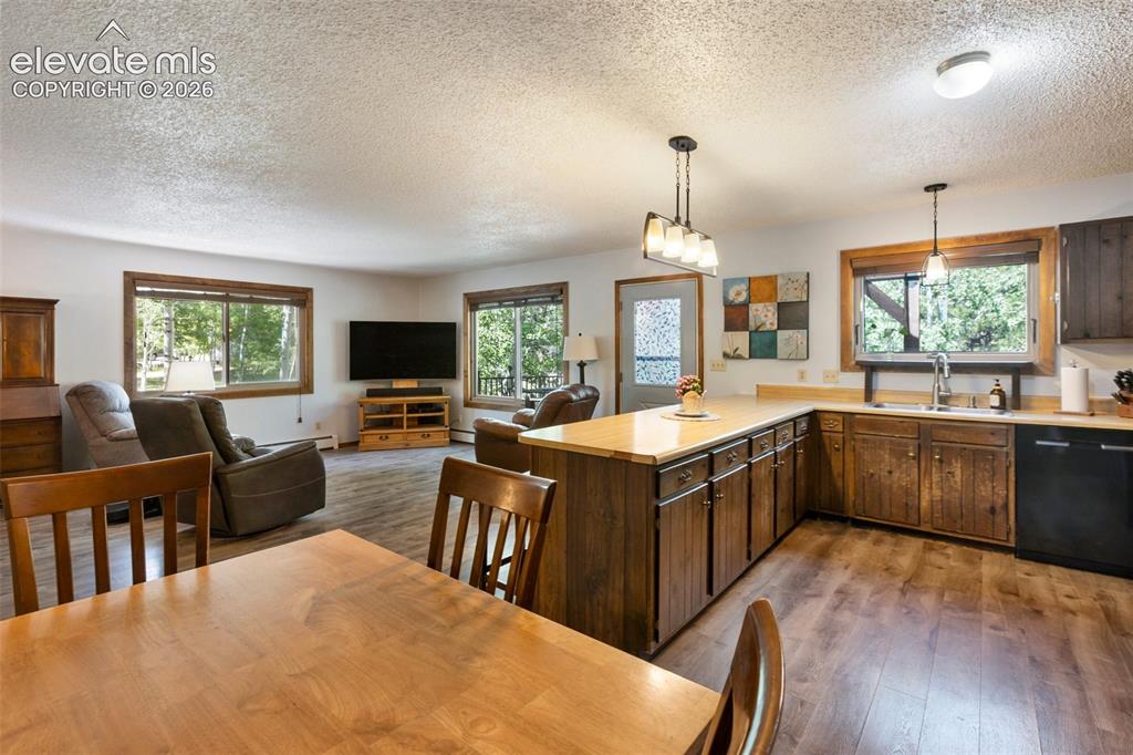 835 E Northwoods Drive Woodland Park CO 80863
