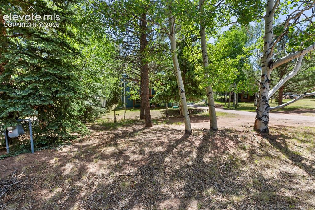 835 E Northwoods Drive Woodland Park CO 80863