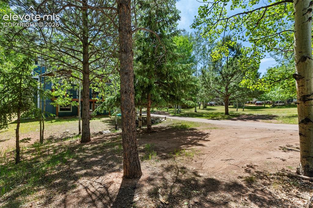 835 E Northwoods Drive Woodland Park CO 80863