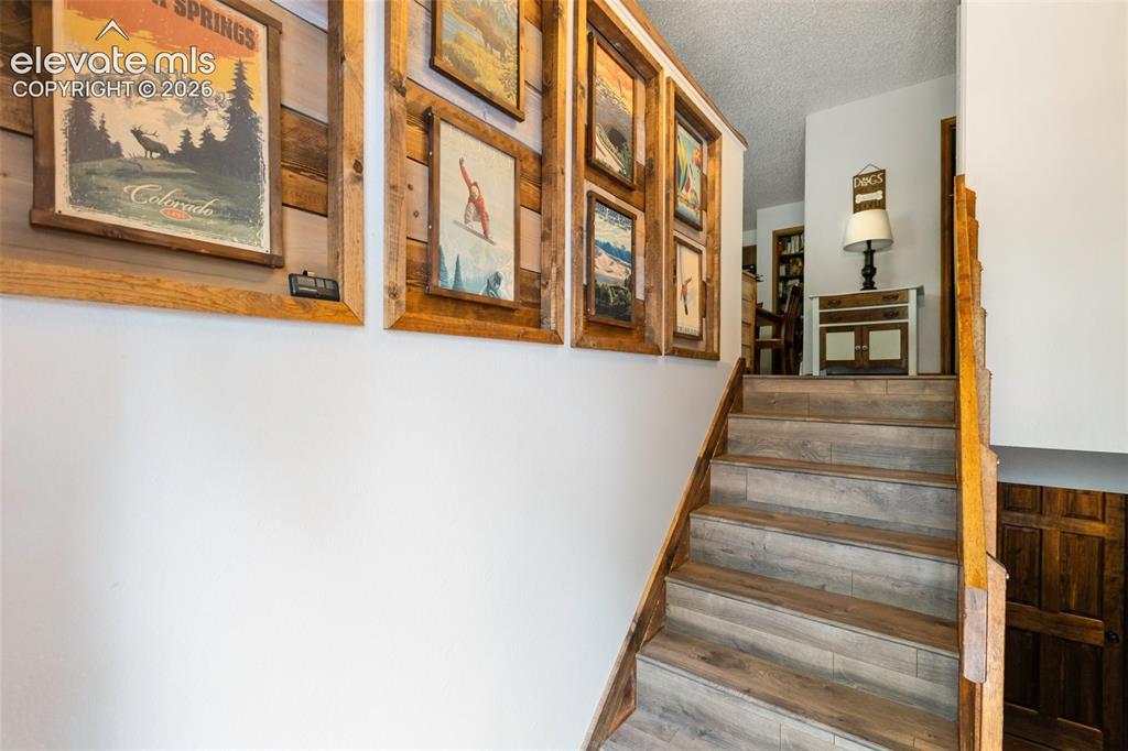835 E Northwoods Drive Woodland Park CO 80863