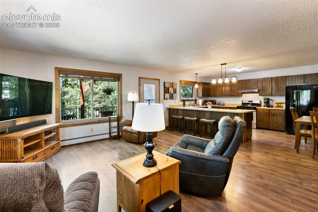 835 E Northwoods Drive Woodland Park CO 80863