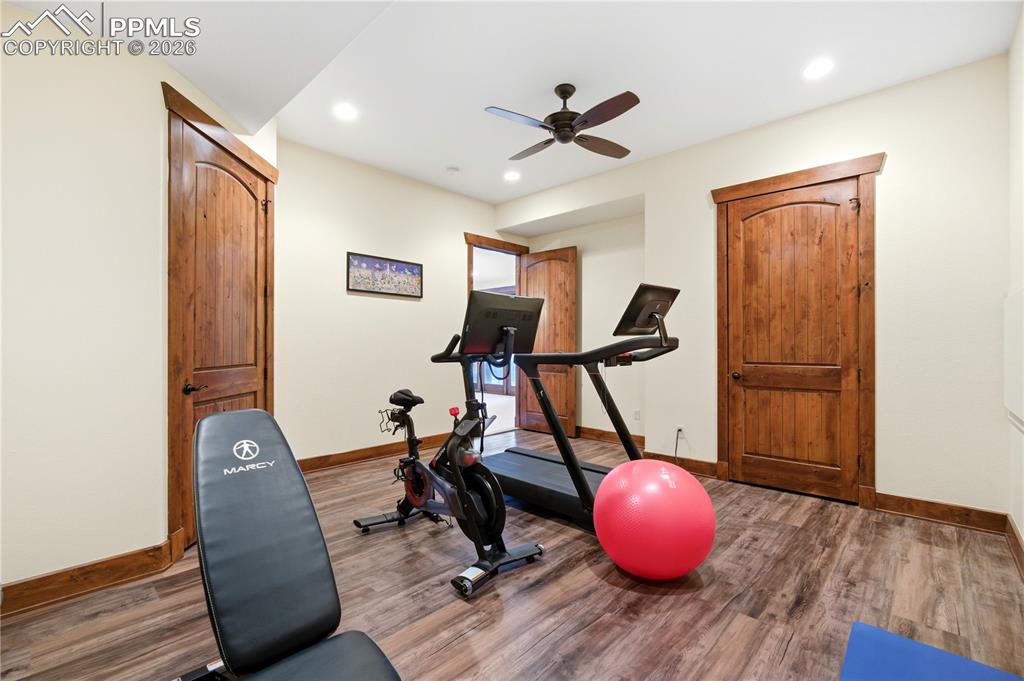 1548 Amber Court Castle Rock CO 80108