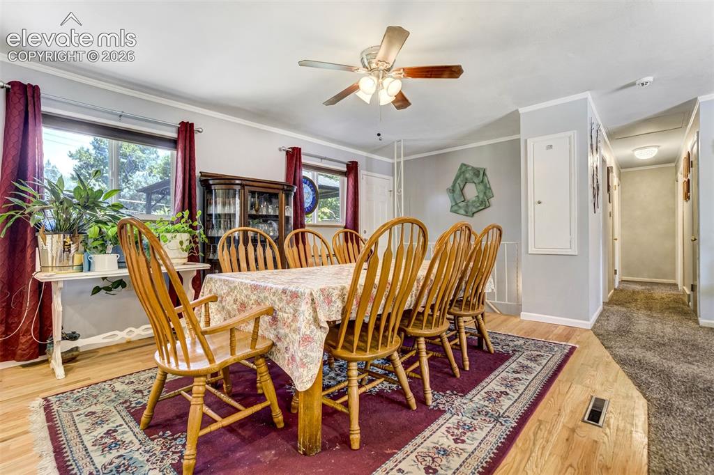 1215 Fosdick Drive Colorado Springs CO 80909