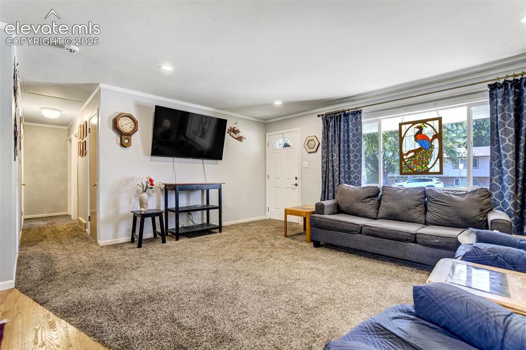 1215 Fosdick Drive Colorado Springs CO 80909
