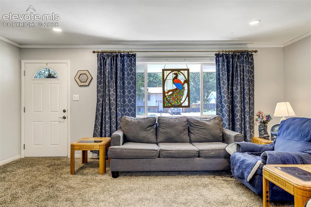 1215 Fosdick Drive Colorado Springs CO 80909