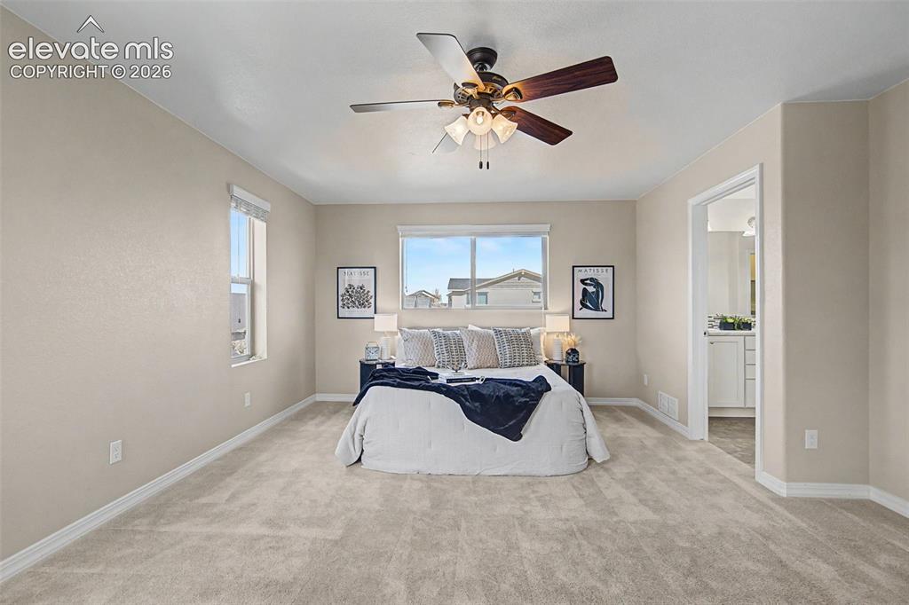 6516 Lucky Star Lane Colorado Springs CO 80923