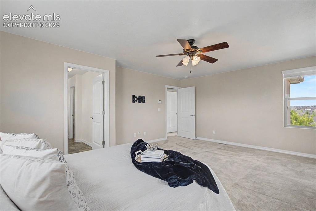 6516 Lucky Star Lane Colorado Springs CO 80923