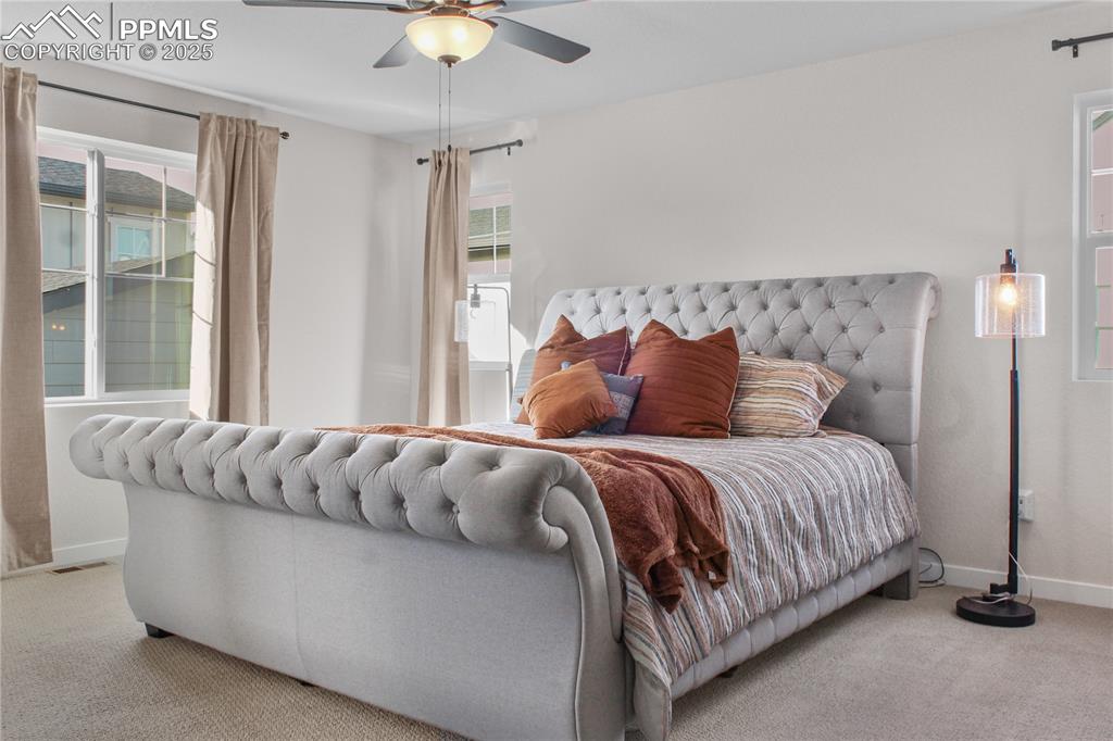 5869 Spring Breeze Drive Colorado Springs CO 80923