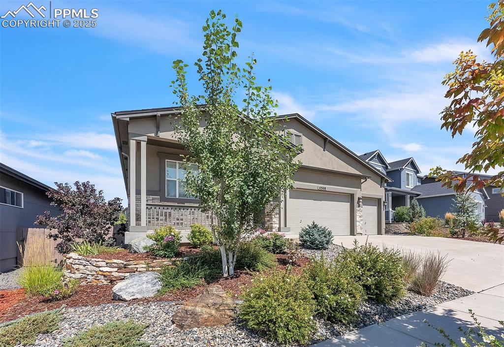 4508 Captain Jack Lane Colorado Springs CO 80924