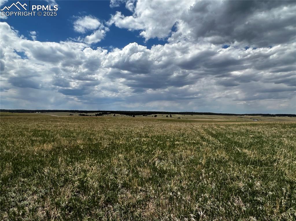 11970 Woodridge Terrace Colorado Springs CO 80908