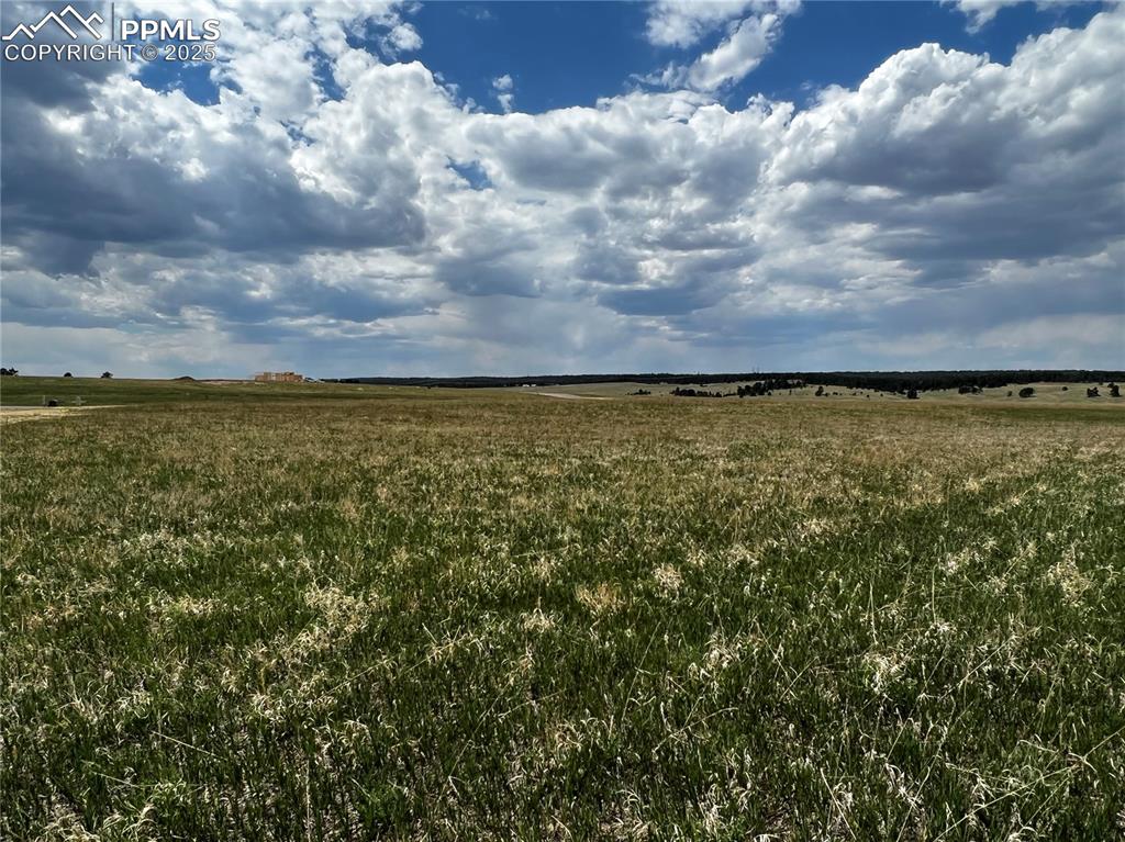 11970 Woodridge Terrace Colorado Springs CO 80908