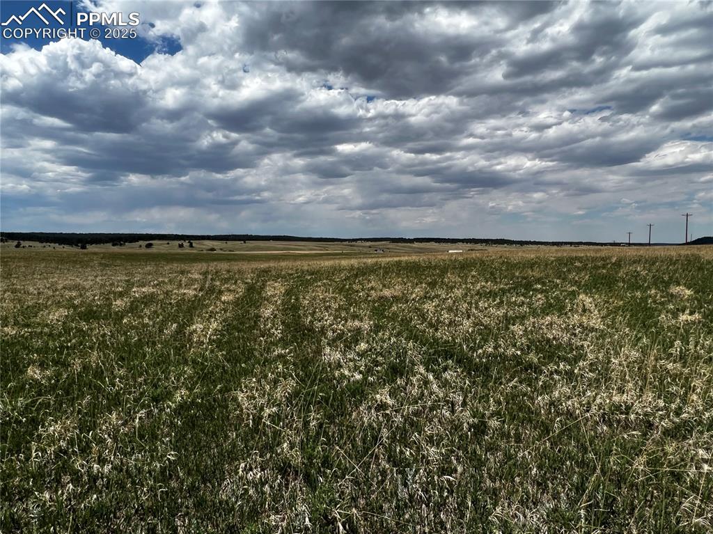 11970 Woodridge Terrace Colorado Springs CO 80908