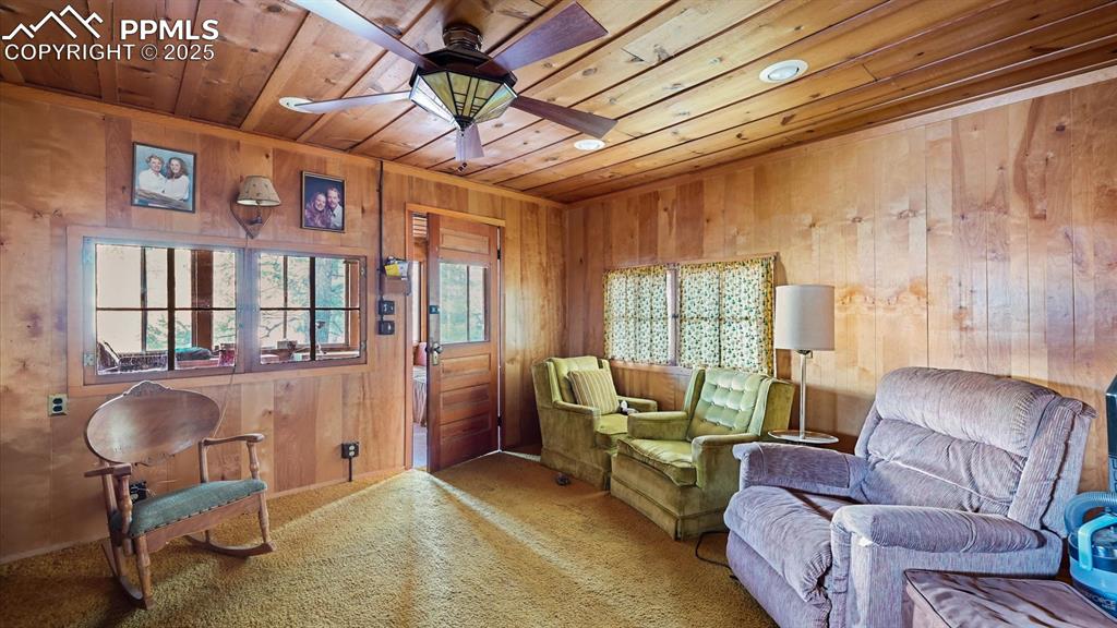 6720 Spruce Avenue Green Mountain Falls CO 80819