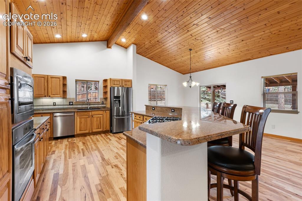 3110 Regent Drive Woodland Park CO 80863