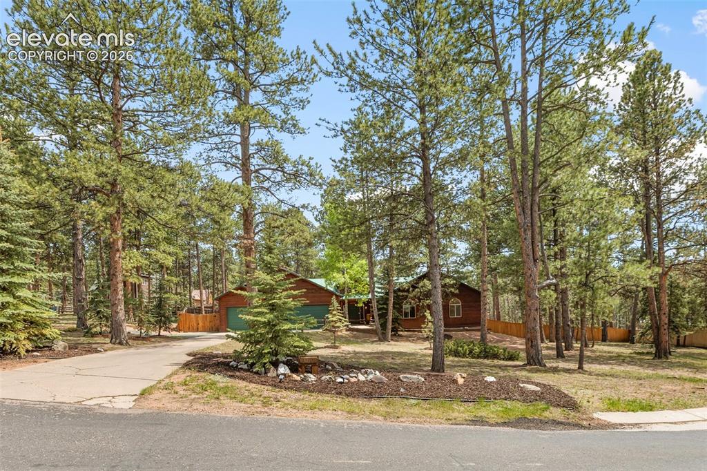 3110 Regent Drive Woodland Park CO 80863