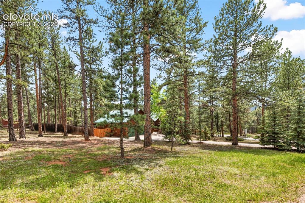 3110 Regent Drive Woodland Park CO 80863
