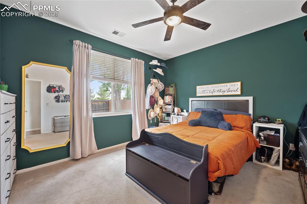 5428 Suffolk Avenue Castle Rock CO 80104