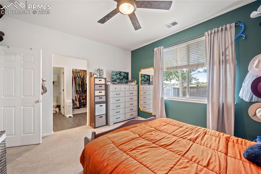 5428 Suffolk Avenue Castle Rock CO 80104