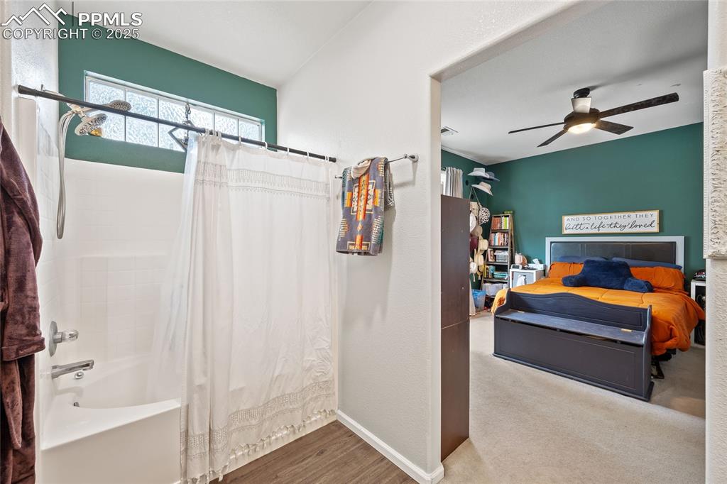 5428 Suffolk Avenue Castle Rock CO 80104