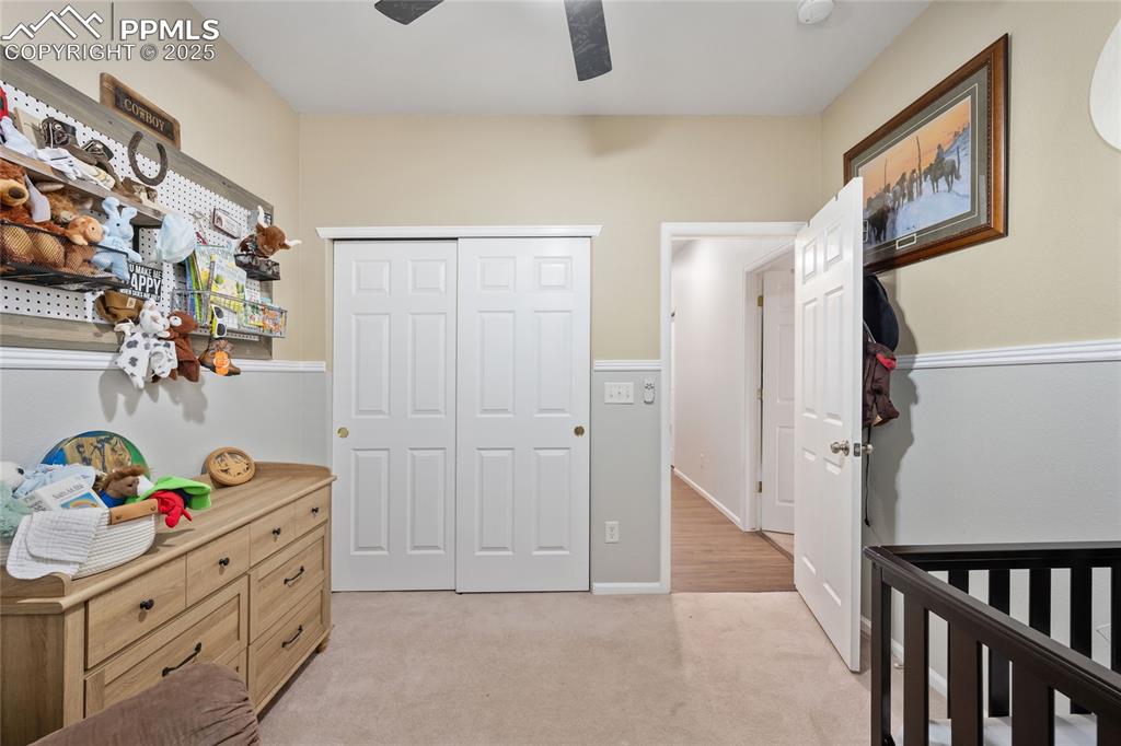 5428 Suffolk Avenue Castle Rock CO 80104