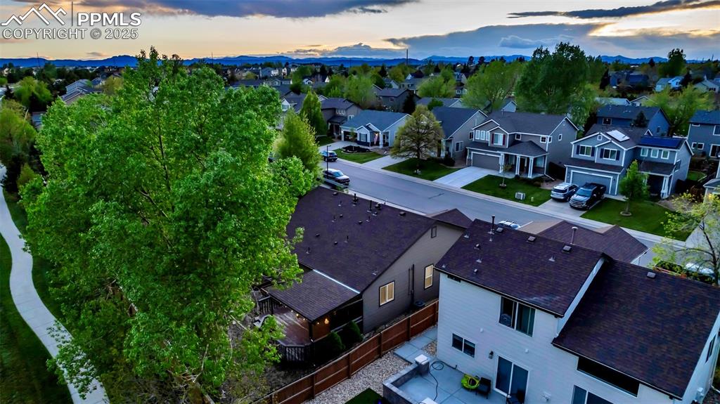 5428 Suffolk Avenue Castle Rock CO 80104