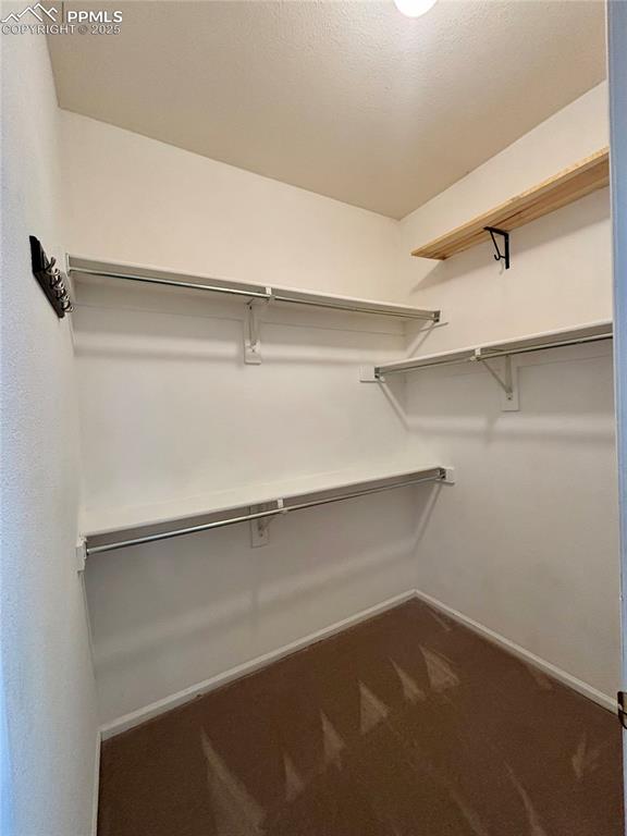 5428 Suffolk Avenue Castle Rock CO 80104