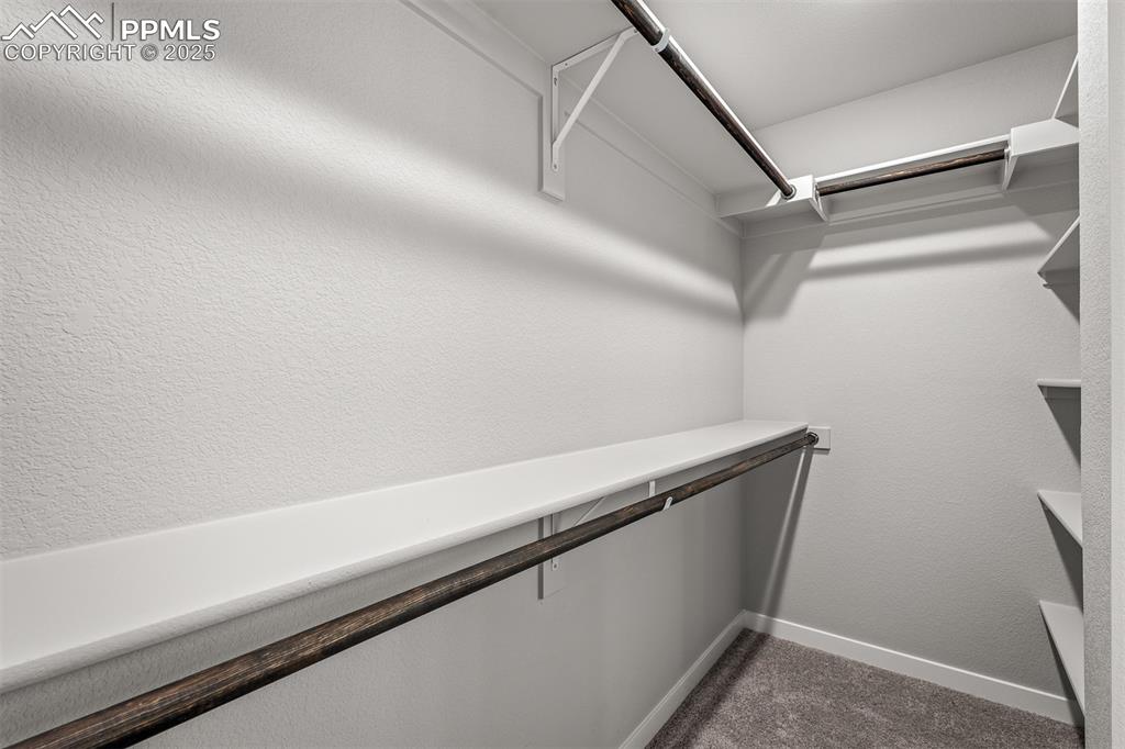 6343 Scrabble View Colorado Springs CO 80924