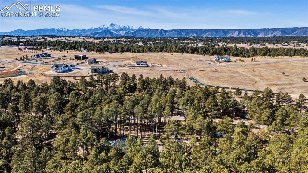 18165 Woodhaven Drive Colorado Springs CO 80908