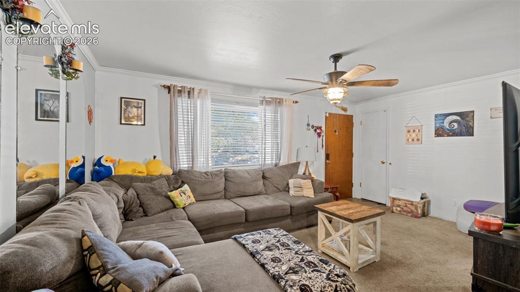 3630 Brentwood Terrace Colorado Springs CO 80910