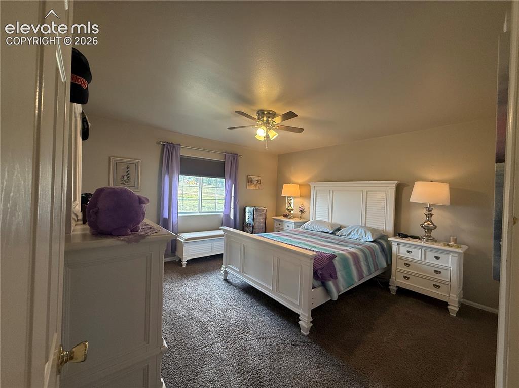 17 Garfield Circle Florissant CO 80816